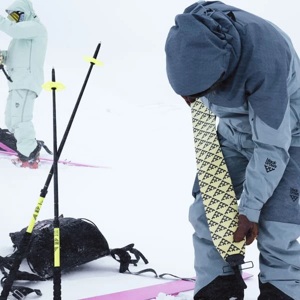 BLACK CROWS CORVUS FREEBIRD + DYNAFIT SPEED TURN BLACK/SILVER 6 BLACK CROWS CORVUS FREEBIRD + DYNAFIT SPEED TURN BLACK/SILVER - Afbeelding 6